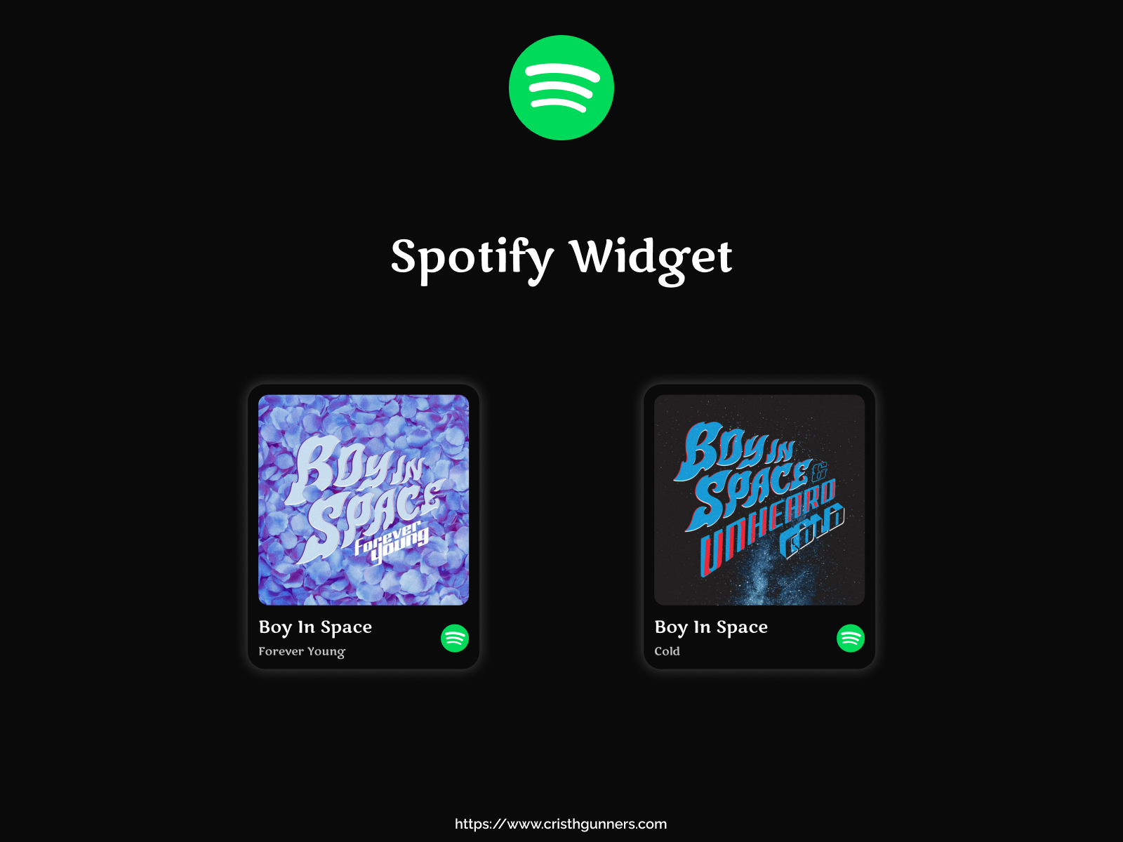 Spotify Widget