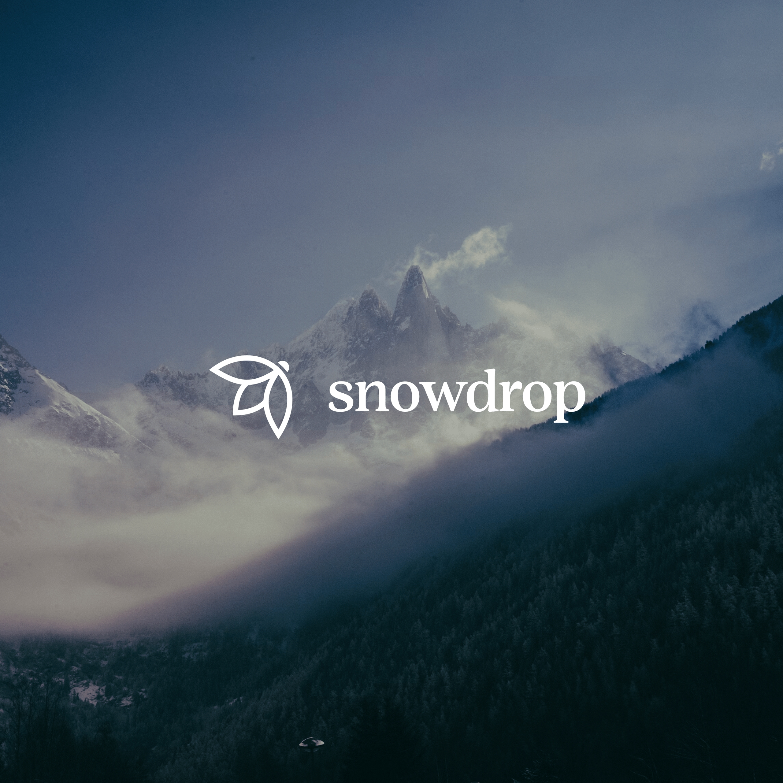Snowdrop - Logo design for a mental health platform