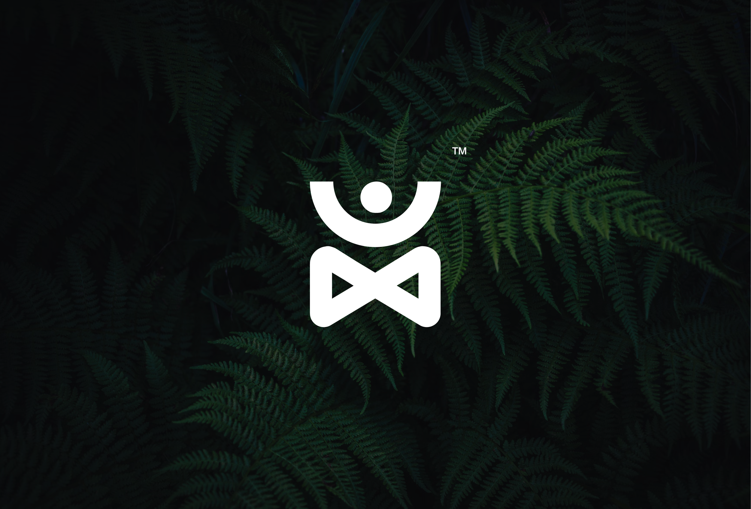 Zenny - Logo and brand guideline design

